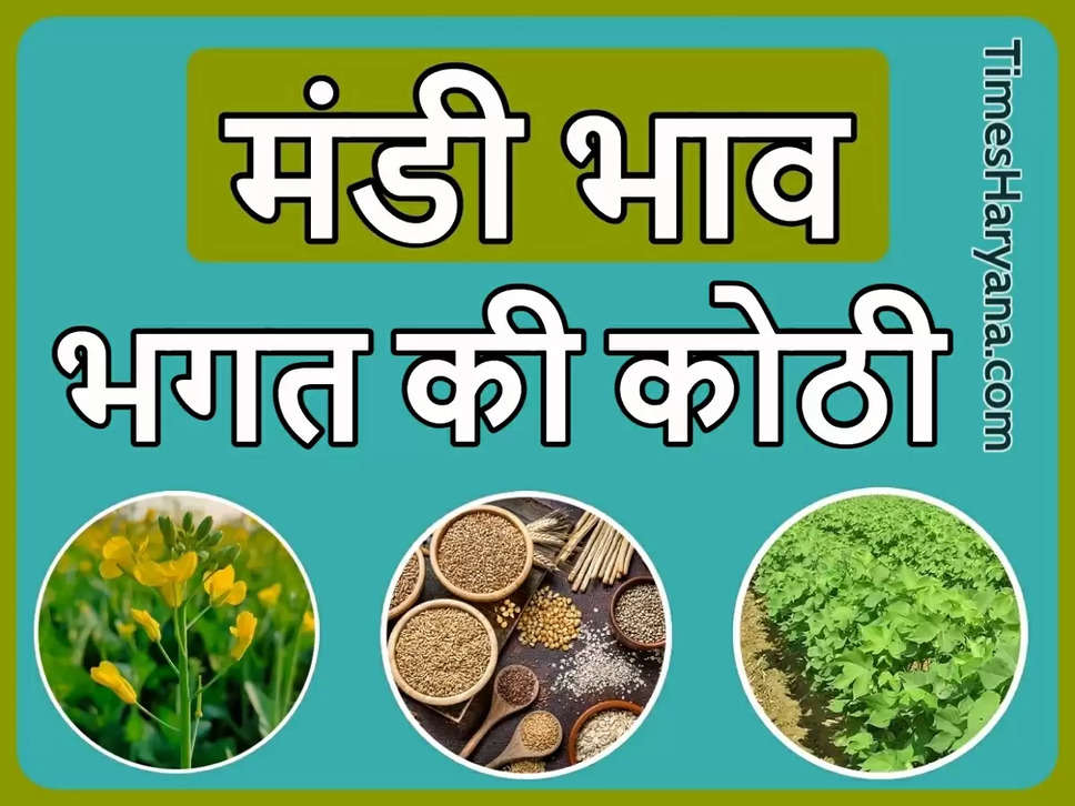 bhagat ki kothi mandi bhav List Today, bhagat ki kothi mandi bhav 24 feb, bhagat ki kothi mandi bhav, bhagat ki koti krashi mandi, bhagat ki koti krashi mandi bhav Today 2023, bhagat ki koti mandi ke bhav, भगत की कोठी मंडी में आज के भाव,भगत की कोठी कृषि मंडी,कृषि मंडी भगत की कोठी, भगत की कोठी मंडी के ताजा भाव, भगत की कोठी मूंग का भाव, bhagat ki koti mandi ka bhav,bhagat ki koti mandi ke bhav 2023,bhagat ki koti mandi ke bhav today,guar mandi bhav rajasthan