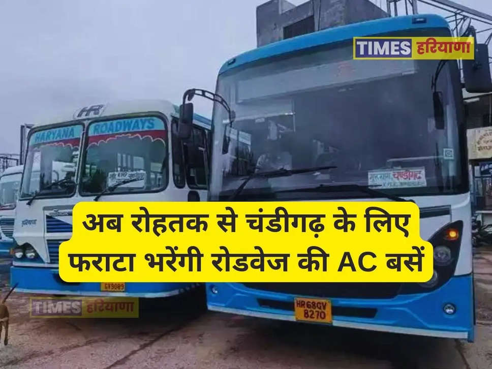 rohtak to chandigarh bus 