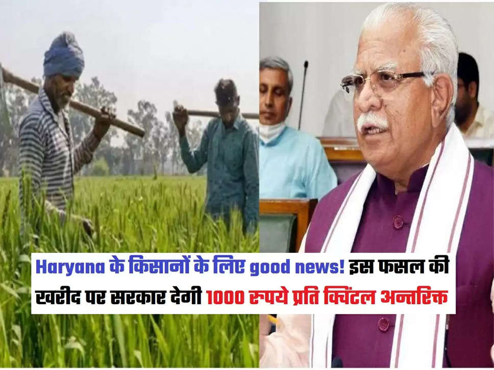 latest haryana news, 